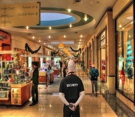 Store Guarding