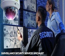 Surveillance